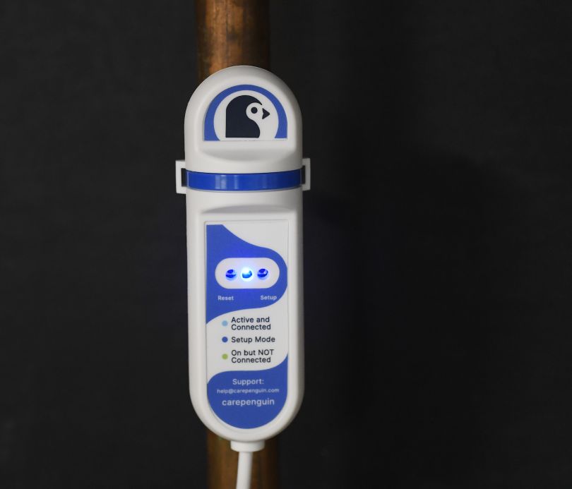 CarePenguin