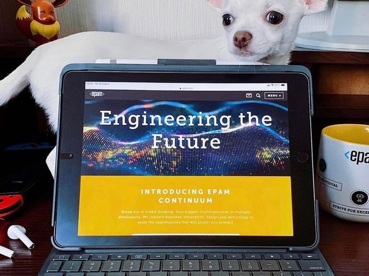 A small white chihuahua stands behind an open laptop