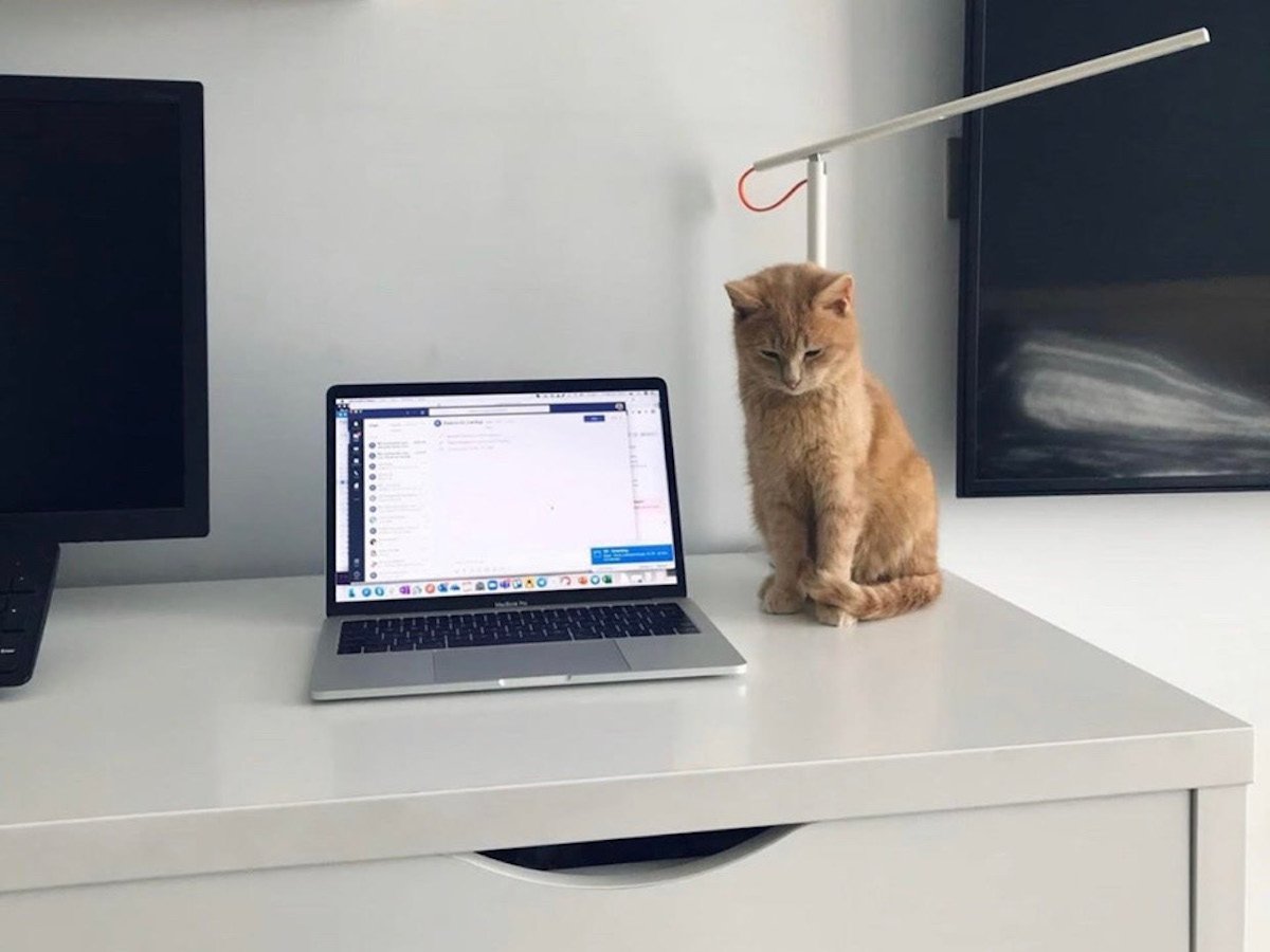 A small orange cat sits next to an open laptop
