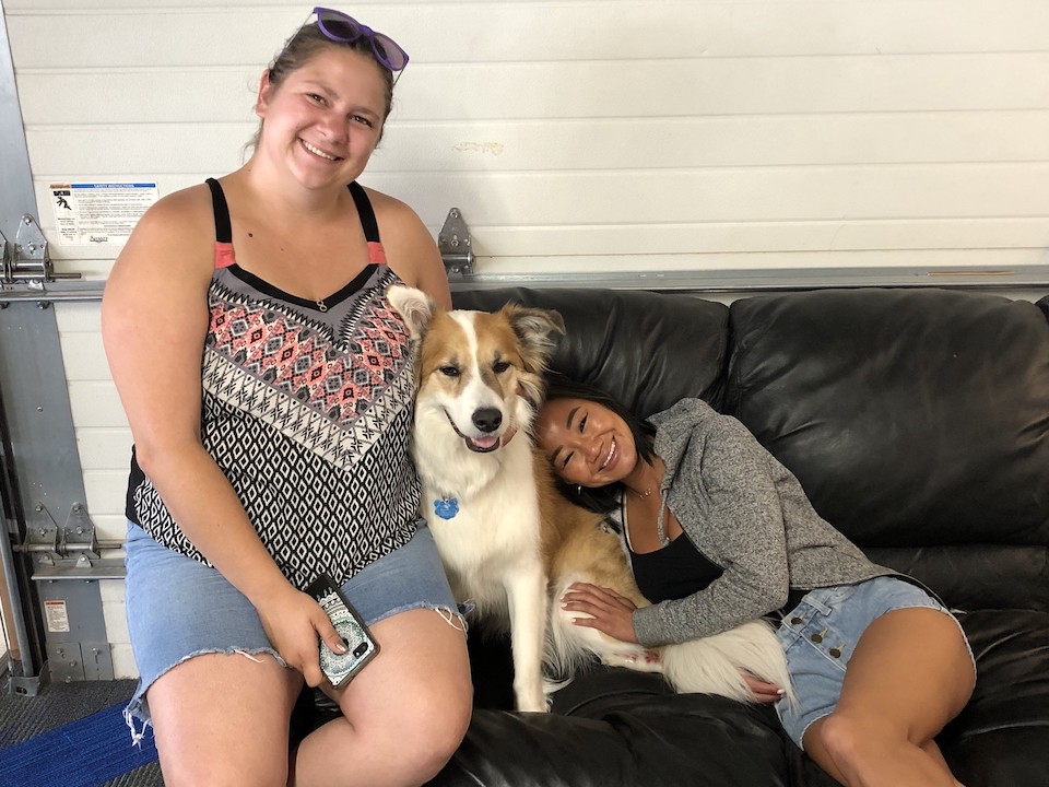 FluentStream workers posing with dog