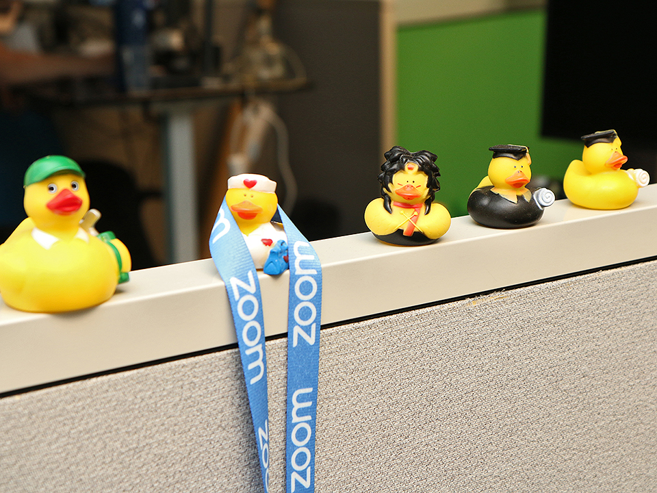 Zoom Rubber Ducks