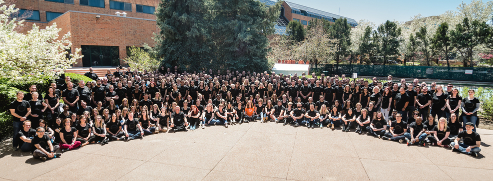 Xero team
