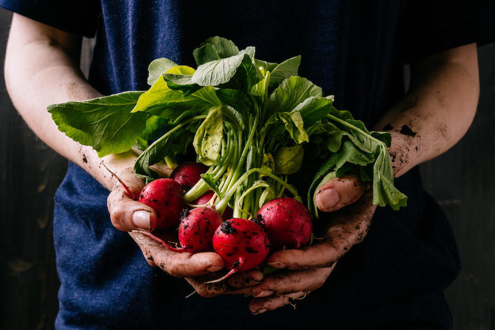 FoodMaven food tech startup Colorado