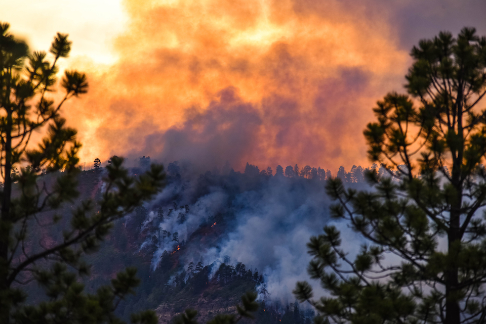 FreeWave Technologies industrial IoT wildfire detection