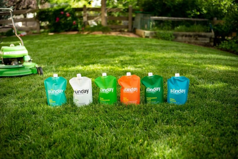 Sunday's products lined up on a lawn.