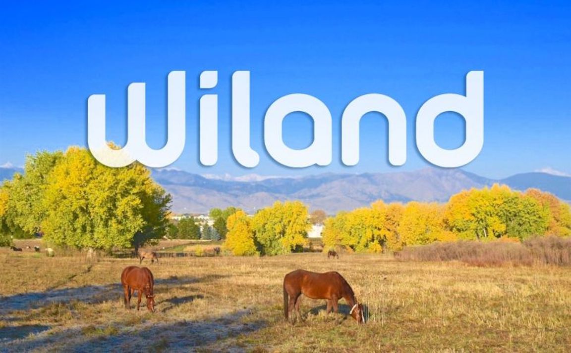 wiland big data company colorado