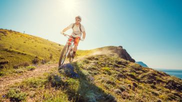 Photo: Shutterstock