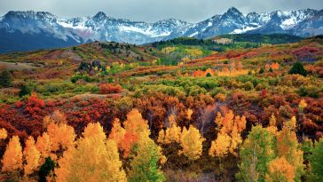 Red and orange trees with mountains in the background