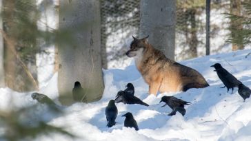 Photo: Shutterstock