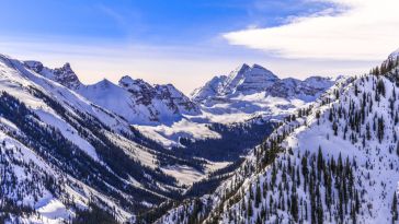 Photo: Shutterstock